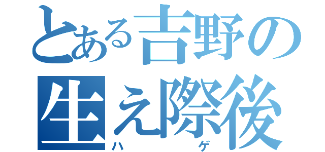 とある吉野の生え際後退（ハゲ）