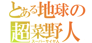 とある地球の超菜野人（スーパーサイヤ人）