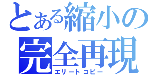 とある縮小の完全再現（エリートコピー）