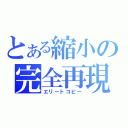 とある縮小の完全再現（エリートコピー）