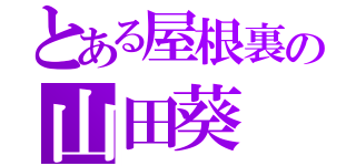 とある屋根裏の山田葵（）