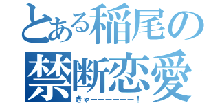 とある稲尾の禁断恋愛（きゃーーーーーー！）