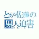 とある佐藤の黒人迫害（ニガー！）