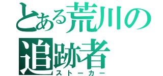 とある荒川の追跡者（ストーカー）