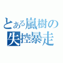 とある嵐樹の失控暴走（）