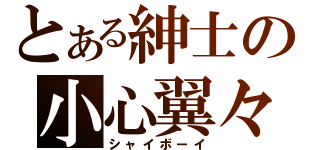 とある紳士の小心翼々（シャイボーイ）