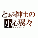 とある紳士の小心翼々（シャイボーイ）