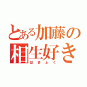 とある加藤の相生好き（はきょく）