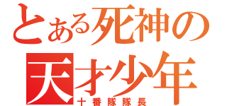 とある死神の天才少年（十番隊隊長）