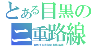 とある目黒のニ重路線（東京メトロ南北線と都営三田線）