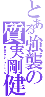 とある強襲の質実剛健（ＦＡＭグレ・マーシャル）