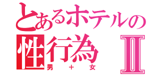 とあるホテルの性行為Ⅱ（男＋女）