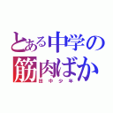 とある中学の筋肉ばか（田中少年）