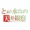 とある水鳥の天井観察（ボキャブルティーアウト）