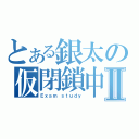 とある銀太の仮閉鎖中Ⅱ（Ｅｘａｍ ｓｔｕｄｙ）