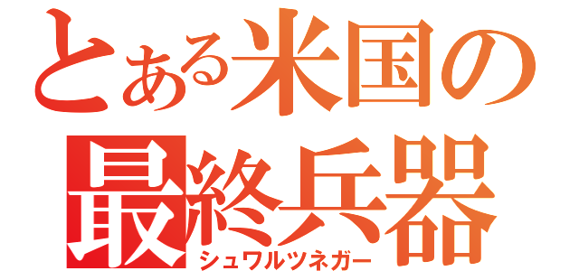 とある米国の最終兵器（シュワルツネガー）