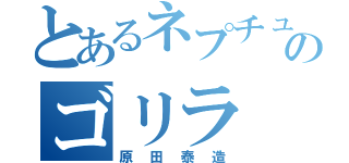 とあるネプチューンのゴリラ（原田泰造）