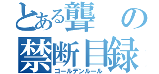 とある聾の禁断目録（ゴールデンルール）