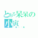 とある呆呆の小寅（蘑菇－蘑菇）