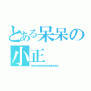 とある呆呆の小正（呆呆呆呆呆呆呆呆呆呆呆呆呆呆）