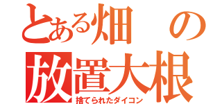 とある畑の放置大根（捨てられたダイコン）