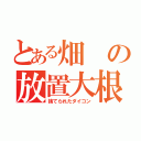 とある畑の放置大根（捨てられたダイコン）