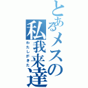 とあるメスの私我来達（わたしがきた）