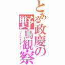 とある政慶の野鳥観察（バードウォッチング）