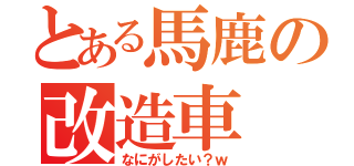 とある馬鹿の改造車（なにがしたい？ｗ）