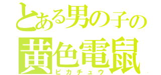 とある男の子の黄色電鼠（ピカチュウ）