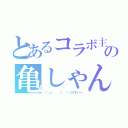 とあるコラボ主の亀しゃん（（・ω・ 　⊃ 　）⊃≡すいー）