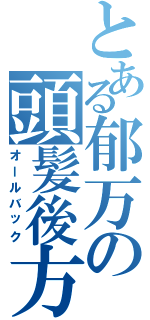 とある郁万の頭髪後方（オールバック）