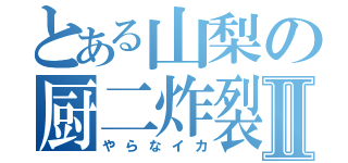 とある山梨の厨二炸裂Ⅱ（やらなイカ）