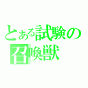 とある試験の召喚獣（）