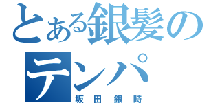 とある銀髪のテンパ（坂田銀時）