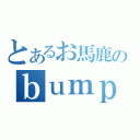 とあるお馬鹿のｂｕｍｐｆａｎ（）