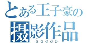 とある王子豪の摄影作品（ＩＳＧＯＯＤ）