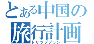 とある中国の旅行計画（トリッププラン）