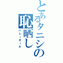 とあるタニシの恥晒し（バレーボール）