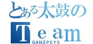 とある太鼓のＴｅａｍ（ＧＡＮＺＰＥＹＳ）