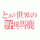 とある世界の野球馬鹿（喧嘩上等）