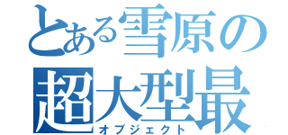 とある雪原の超大型最強兵器（オブジェクト）