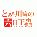 とある川崎の六目王蟲（ＺＺＲ１４００）