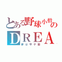 とある野球小僧のＤＲＥＡＭ（夢は甲子園）