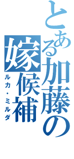 とある加藤の嫁候補（ルカ・ミルダ）