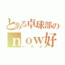 とある卓球部のｎｏｗ好き（メガネ）