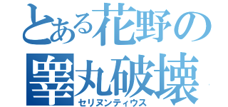 とある花野の睾丸破壊（セリヌンティウス）