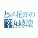 とある花野の睾丸破壊（セリヌンティウス）