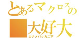 とあるマクロスの 大好大嫌（カナメバッカニア）