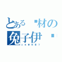 とある废材の兔子伊达（人 生 要 完 蛋 了）